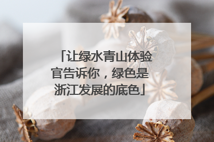 让绿水青山体验官告诉你，绿色是浙江发展的底色